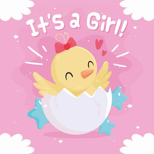 Chick Baby Girl Greeting Card