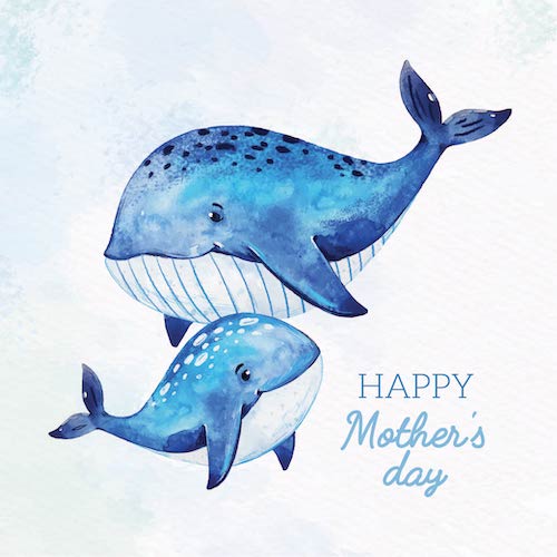 Blue Whale Mother's Day Greeting Card